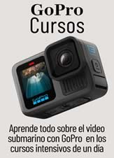 cursos gopro